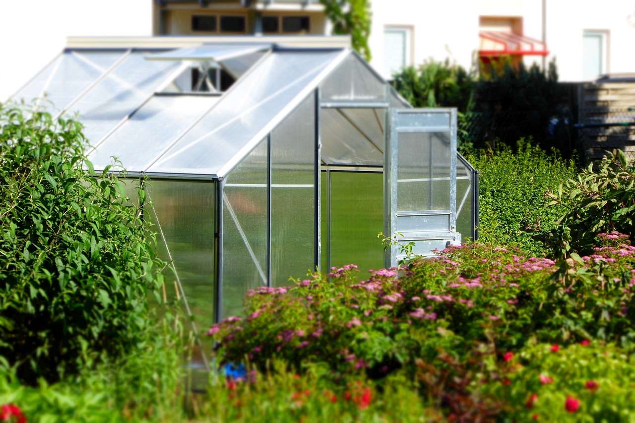 Comment choisir la serre en plaques de polycarbonate idéale pour votre  jardin ? - DIY renovation